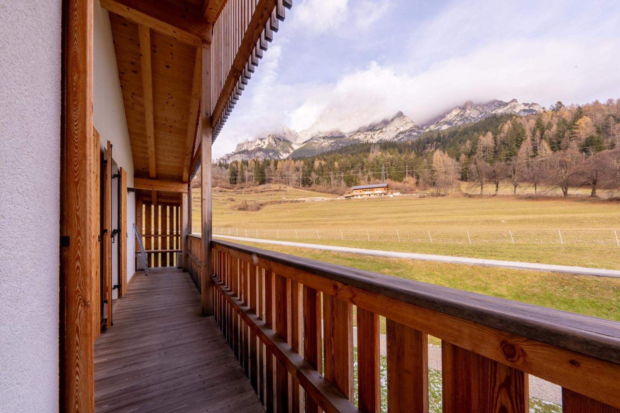 Greenwood Chalet - Spacious Alpine Retreat With Mountain Views Vodo Cadore Exteriör bild